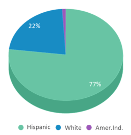 This chart displays the percentage breakdown of students of all ethnic groups in Maple Elementary School. This chart displays the percentage breakdown of students of all ethnic groups in Maple Elementary School.