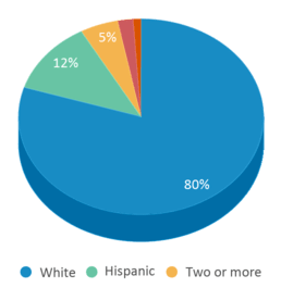 This chart displays the percentage breakdown of students of all ethnic groups in Random Lake Elementary School. This chart displays the percentage breakdown of students of all ethnic groups in Random Lake Elementary School.