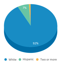 This chart displays the percentage breakdown of students of all ethnic groups in Lincoln Elementary School. This chart displays the percentage breakdown of students of all ethnic groups in Lincoln Elementary School.