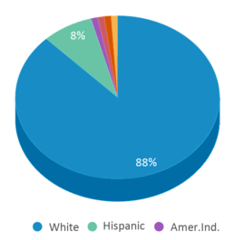 This chart displays the percentage breakdown of students of all ethnic groups in Valders Elementary School. This chart displays the percentage breakdown of students of all ethnic groups in Valders Elementary School.