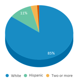 This chart displays the percentage breakdown of students of all ethnic groups in Waupun Area Junior High School. This chart displays the percentage breakdown of students of all ethnic groups in Waupun Area Junior High School.