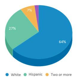 This chart displays the percentage breakdown of students of all ethnic groups in Victory High School. This chart displays the percentage breakdown of students of all ethnic groups in Victory High School.