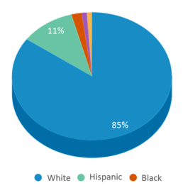 This chart displays the percentage breakdown of students of all ethnic groups in Guernsey-sunrise Elementary School. This chart displays the percentage breakdown of students of all ethnic groups in Guernsey-sunrise Elementary School.
