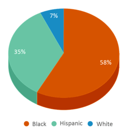 This chart displays the percentage breakdown of students of all ethnic groups in Allen Res Center. This chart displays the percentage breakdown of students of all ethnic groups in Allen Res Center.