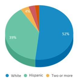 This chart displays the percentage breakdown of students of all ethnic groups in Bonita Springs Charter School. This chart displays the percentage breakdown of students of all ethnic groups in Bonita Springs Charter School.