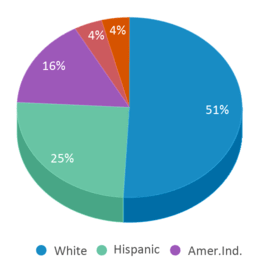 This chart displays the percentage breakdown of students of all ethnic groups in Classics And Four Arts Academy. This chart displays the percentage breakdown of students of all ethnic groups in Classics And Four Arts Academy.