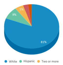 This chart displays the percentage breakdown of students of all ethnic groups in Ruben A Cirillo High School. This chart displays the percentage breakdown of students of all ethnic groups in Ruben A Cirillo High School.