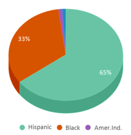 This chart displays the percentage breakdown of students of all ethnic groups in Millenium Quest Science Academy At Manual. This chart displays the percentage breakdown of students of all ethnic groups in Millenium Quest Science Academy At Manual.