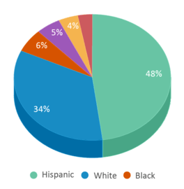 This chart displays the percentage breakdown of public school students of all ethnic groups in Arizona. This chart displays the percentage breakdown of public school students of all ethnic groups in Arizona.
