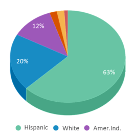 This chart displays the percentage breakdown of public school students of all ethnic groups in New Mexico. This chart displays the percentage breakdown of public school students of all ethnic groups in New Mexico.