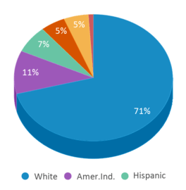 This chart displays the percentage breakdown of public school students of all ethnic groups in North Dakota. This chart displays the percentage breakdown of public school students of all ethnic groups in North Dakota.