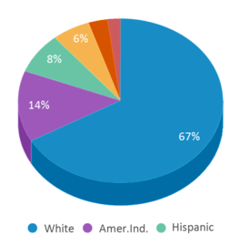 This chart displays the percentage breakdown of public school students of all ethnic groups in South Dakota. This chart displays the percentage breakdown of public school students of all ethnic groups in South Dakota.