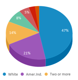 This chart displays the percentage breakdown of public school students of all ethnic groups in Alaska. This chart displays the percentage breakdown of public school students of all ethnic groups in Alaska.