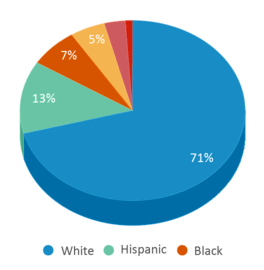 This chart displays the percentage breakdown of public school students of all ethnic groups in Iowa. This chart displays the percentage breakdown of public school students of all ethnic groups in Iowa.