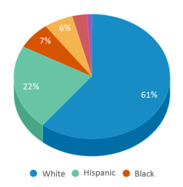 This chart displays the percentage breakdown of public school students of all ethnic groups in Kansas. This chart displays the percentage breakdown of public school students of all ethnic groups in Kansas.
