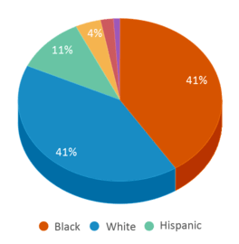 This chart displays the percentage breakdown of public school students of all ethnic groups in Louisiana. This chart displays the percentage breakdown of public school students of all ethnic groups in Louisiana.