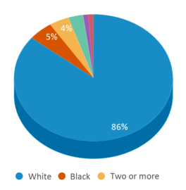 This chart displays the percentage breakdown of public school students of all ethnic groups in Maine. This chart displays the percentage breakdown of public school students of all ethnic groups in Maine.
