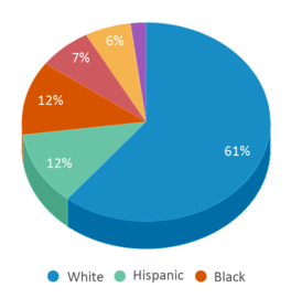 This chart displays the percentage breakdown of public school students of all ethnic groups in Minnesota. This chart displays the percentage breakdown of public school students of all ethnic groups in Minnesota.