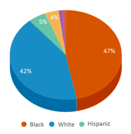 This chart displays the percentage breakdown of public school students of all ethnic groups in Mississippi. This chart displays the percentage breakdown of public school students of all ethnic groups in Mississippi.