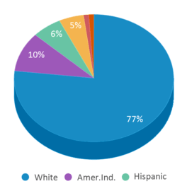 This chart displays the percentage breakdown of public school students of all ethnic groups in Montana. This chart displays the percentage breakdown of public school students of all ethnic groups in Montana.