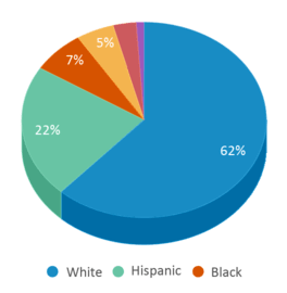 This chart displays the percentage breakdown of public school students of all ethnic groups in Nebraska. This chart displays the percentage breakdown of public school students of all ethnic groups in Nebraska.