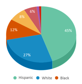 This chart displays the percentage breakdown of public school students of all ethnic groups in Nevada. This chart displays the percentage breakdown of public school students of all ethnic groups in Nevada.