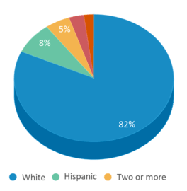 This chart displays the percentage breakdown of public school students of all ethnic groups in New Hampshire. This chart displays the percentage breakdown of public school students of all ethnic groups in New Hampshire.
