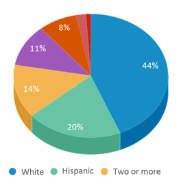 This chart displays the percentage breakdown of public school students of all ethnic groups in Oklahoma. This chart displays the percentage breakdown of public school students of all ethnic groups in Oklahoma.