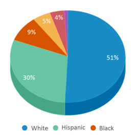 This chart displays the percentage breakdown of public school students of all ethnic groups in Rhode Island. This chart displays the percentage breakdown of public school students of all ethnic groups in Rhode Island.