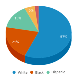 This chart displays the percentage breakdown of public school students of all ethnic groups in Tennessee. This chart displays the percentage breakdown of public school students of all ethnic groups in Tennessee.