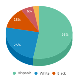 This chart displays the percentage breakdown of public school students of all ethnic groups in Texas. This chart displays the percentage breakdown of public school students of all ethnic groups in Texas.