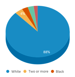 This chart displays the percentage breakdown of public school students of all ethnic groups in Vermont. This chart displays the percentage breakdown of public school students of all ethnic groups in Vermont.