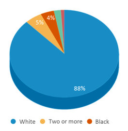 This chart displays the percentage breakdown of public school students of all ethnic groups in West Virginia. This chart displays the percentage breakdown of public school students of all ethnic groups in West Virginia.