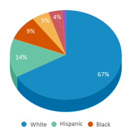 This chart displays the percentage breakdown of public school students of all ethnic groups in Wisconsin. This chart displays the percentage breakdown of public school students of all ethnic groups in Wisconsin.