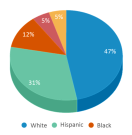 This chart displays the percentage breakdown of public school students of all ethnic groups in Connecticut. This chart displays the percentage breakdown of public school students of all ethnic groups in Connecticut.
