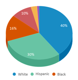 This chart displays the percentage breakdown of public school students of all ethnic groups in New York. This chart displays the percentage breakdown of public school students of all ethnic groups in New York.