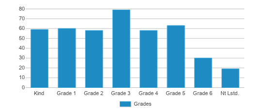 This chart displays the students of Los Senderos Open School by grade. This chart displays the students of Los Senderos Open School by grade.