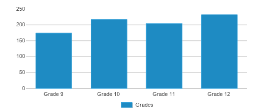 This chart displays the students of Gunderson High School by grade. This chart displays the students of Gunderson High School by grade.