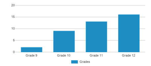 This chart displays the students of Global Enterprise High School by grade. This chart displays the students of Global Enterprise High School by grade.