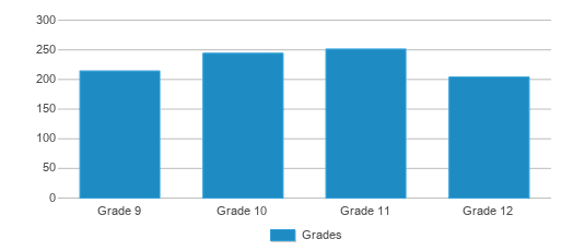 This chart displays the students of First Flight High School by grade. This chart displays the students of First Flight High School by grade.