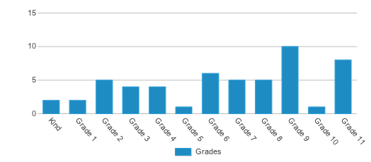 This chart displays the students of Excel Center - Fort Worth by grade. This chart displays the students of Excel Center - Fort Worth by grade.