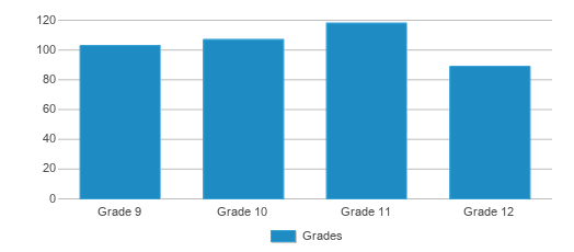This chart displays the students of Basalt High School by grade. This chart displays the students of Basalt High School by grade.