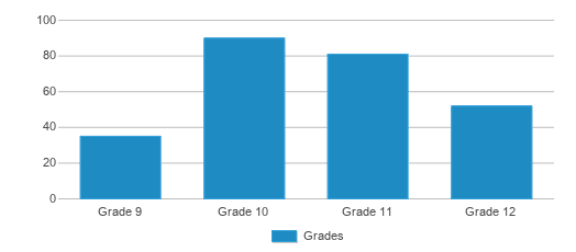 This chart displays the students of Lone Star High School by grade. This chart displays the students of Lone Star High School by grade.