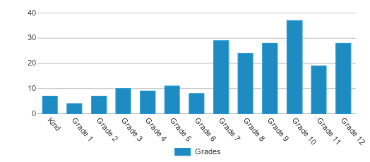 This chart displays the students of Peak Virtual Academy by grade. This chart displays the students of Peak Virtual Academy by grade.