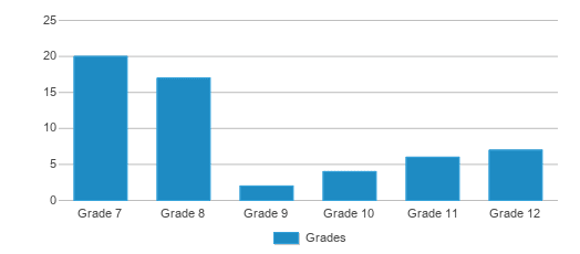 This chart displays the students of 518 Virtual Instruction Secondary by grade. This chart displays the students of 518 Virtual Instruction Secondary by grade.