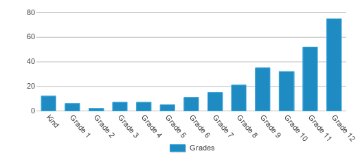 This chart displays the students of Genesis Innovative School by grade. This chart displays the students of Genesis Innovative School by grade.