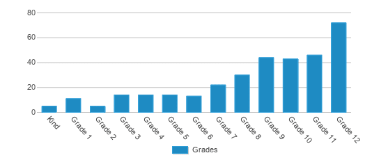 This chart displays the students of Jcps Virtual Academy by grade. This chart displays the students of Jcps Virtual Academy by grade.
