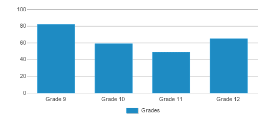 This chart displays the students of Kings Peak High School by grade. This chart displays the students of Kings Peak High School by grade.