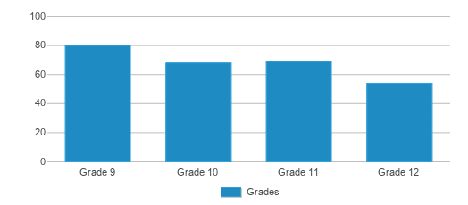 This chart displays the students of Putnam High School by grade. This chart displays the students of Putnam High School by grade.
