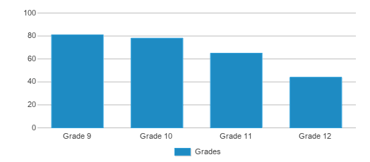 This chart displays the students of Lakeside High School by grade. This chart displays the students of Lakeside High School by grade.